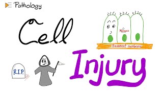 Introduction to Pathology  Cell Injury  A New Pathology Series [upl. by Aruam180]