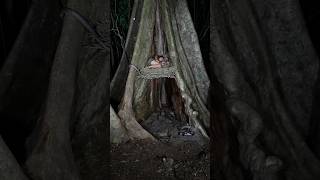 Sleeping under the shade of a giant tree a snake slithers in at midnight camping bushcraft relax [upl. by Jonny]