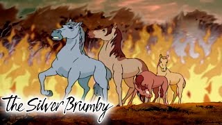 The Silver Brumby  Fire From All Sides  Full Episode  Videos For Kids  Videos For Kids [upl. by Flynn37]