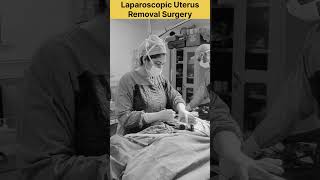 Laparoscopic Uterus Removal Surgery by Dr Rakshita Malik Total Laparoscopic Hysterectomy doctor [upl. by Oznecniv]