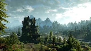 The Witcher 3 Wild Hunt  The Fields of Ard Skellig 1 Hour Version [upl. by Kelsi520]