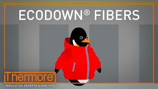 Ecodown Fibers  Infographic Video  Thermore [upl. by Eelyma]