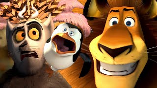 We BINGED EVERY Madagascar Movie [upl. by Osnofedli]