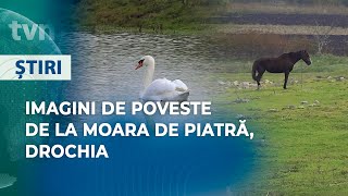 Imagini de poveste de la Moara de Piatră Drochia [upl. by Ileane]