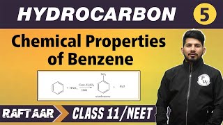 Hydrocarbon 05  Chemical Properties of Benzene I Class 11NEET [upl. by Melisent]