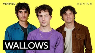 Wallows quotYour Apartmentquot Official Lyrics amp Meaning  Genius Verified [upl. by Schweiker]