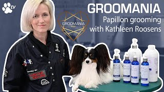 Papillon Grooming with Kathleen Roosens  Groomania 2021 Grooming Demonstration [upl. by Karna]