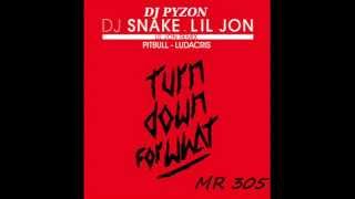 DJ SNAKE ft LIL JON amp PITBULL amp LUDACRIS quot Turn Down For What quot  dj pyzon remix [upl. by Ikila147]