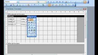 Access 2003 Insertar calendario en un formulario  wwwofimaticaparatorpescom [upl. by Dyer721]