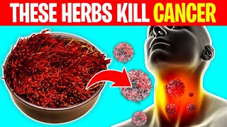 8 Powerful Herbs That Prevent And Kill Cancer [upl. by Tews297]