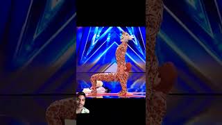 Americas Got Talent Giraffe 🦒 Magic😱😨  Duo SchumacherAGTamericagottalentmagic shorts [upl. by Levitan]