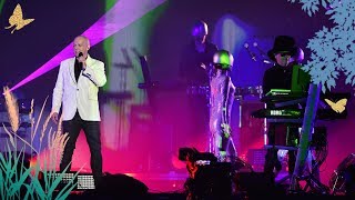 Pet Shop Boys  Always On My Mind Radio 2 Live in Hyde Park 2019 [upl. by Hachman]