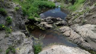 A Walk Through Kackerboite Creek Frankston Victoria [upl. by Charil]