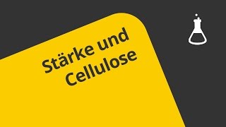 Stärke und Cellulose Was man dazu wissen sollte  Chemie  Organische Chemie [upl. by Issirk759]