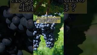 【ローヌ】AOCGigondasの生産可能色は？ wine ワイン ソムリエ ソムリエ試験 ワインエキスパート [upl. by Nyleuqaj]