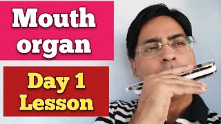 Mouth organ Day 1 lesson Harmonica basic Day 1 tutorial Mouth organ first lessonHarmonica lesson [upl. by Caraviello]