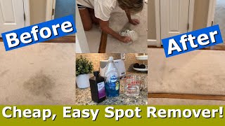 DIY carpet stain remover  for pennies Works QUICK on set in stains  LIVING GRATEFULLY YOUTUBE [upl. by Rexferd]