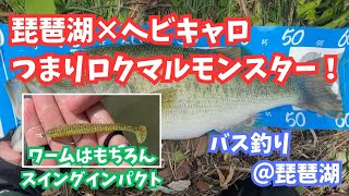 【バス釣り】ヘビキャロでロクマル釣れました！【琵琶湖】 [upl. by Natanoy]