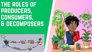 Roles of Producers Consumers amp Decomposers [upl. by Narra530]