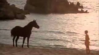 The Black Stallion 01 [upl. by Notterb751]