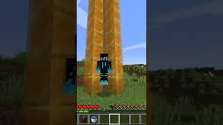 Minecraft liftminecraftoioioi memes [upl. by Galanti493]