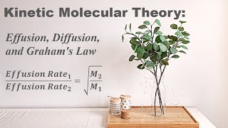 Diffusion Effusion and Grahams Law [upl. by Jaye]