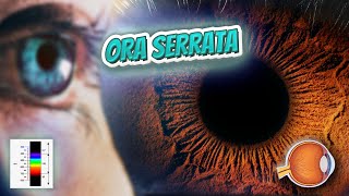 Ora serrata  Your EYEBALLS  EYNTK 👁️👁️💉😳💊🔊💯✅ [upl. by Atnwahs]