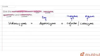 Give the realtionship between cofactor coenzyme apoenzyme and holoenzyme  11  BIOMOLECULES [upl. by Akenahc]