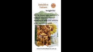 68 Insightful Daily Intuitive Flower Reading by Susan Jane [upl. by Thorman]