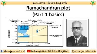 RAMACHANDRAN PLOT BASICS HOW TO READ RAMACHANDRAN PLOT PART1 [upl. by Anehsat]