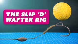 The Slip D WAFTER RIG Catch more with this CARP FISHING Wafter Rig Mainline Baits Carp Fishing TV [upl. by Auoh]