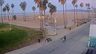 Venice Beach Webcam  Venice Beach Live Cam  venice beach live boardwalk cam [upl. by Gray]