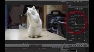 Epicolor  raviver vos couleurs dans FCPX [upl. by Mmada621]