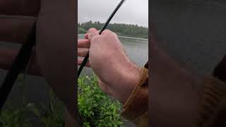 Alaska fly fisherman sportfishing fishing sportfish flyfisherman sport alaska fly trout [upl. by Natsirc]