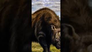 Elasmotherium vs woolly mammoth [upl. by Jezreel523]