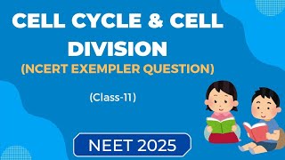 Cell cycle and cell division ncert exemplerClass 11NEET 2025ncert based mcqs [upl. by Naillil]