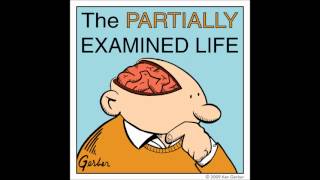 Partially Examined Life podcast  MacIntyre on Moral Theory [upl. by Gasser]