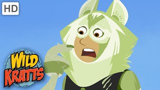 Wild Kratts  Arctic Wolves Go Hunting  Animals [upl. by Bronny]