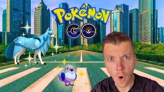 🔴✨Pidove SPOTLIGHT Hour amp ZACIAN Raids Pokemon GO Event✨ Live🔴 [upl. by Natal442]