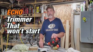 ECHO GT 225 Weed Trimmer That Wont Start Making Extra Moneysmall engine repair [upl. by Jaquelyn]