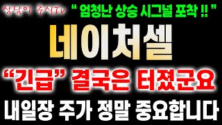 네이처셀 주가전망  조인트스템 관련 소식 들으셨나요 🔥상남이 주식tv🔥 [upl. by Medardas]