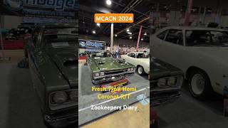 Zookeepers Diary 1969 Hemi Dodge Coronet RT cars MCACN 2024 moparornocar Hodge Restoration [upl. by Baalman]