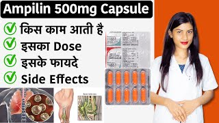 Ampicillin 500mg Capsule  Ampicillin Capsules Lp 500 Mg  Uses  Side Effects  Dose [upl. by Nolyak]