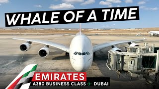 EMIRATES in BUSINESS on the A380 🇯🇴 Amman ✈ Dubai 🇦🇪 EMIRATES Favorite Aircraft [upl. by Vanhook]