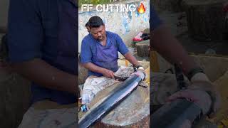 KASIMEDU🔥SPEED SELVAM BIGG ARA KOLA FISH CUTTING VIDEO kasimeduselvam fishcutting youtubeshorts [upl. by Batista594]