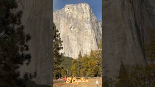 People climbing El Capitan in Yosemite shorts travel shortvideo youtubeshorts [upl. by Furnary727]