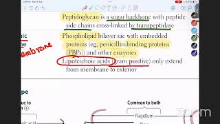 Microbiology 1st Class  Structure of Bacteria in URDUHINDI [upl. by Eimat]