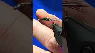 Halfback Nymph Classic Fly Pattern Fly Tying Tutorial [upl. by Liagabba261]