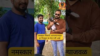 Dog Kennel Near Me in Parli Vaijnath petking doglover pets puppycare puppyshop puppyspot [upl. by Abbie289]