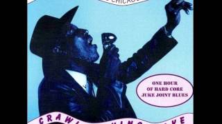 Tail Dragger amp His Chicago Blues Band  Dont Trust No Woman [upl. by Solitta]